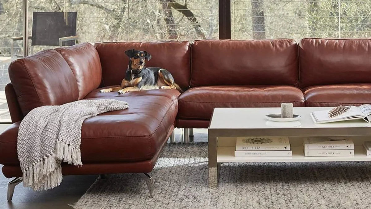 Living Room Essentials & Inspiration